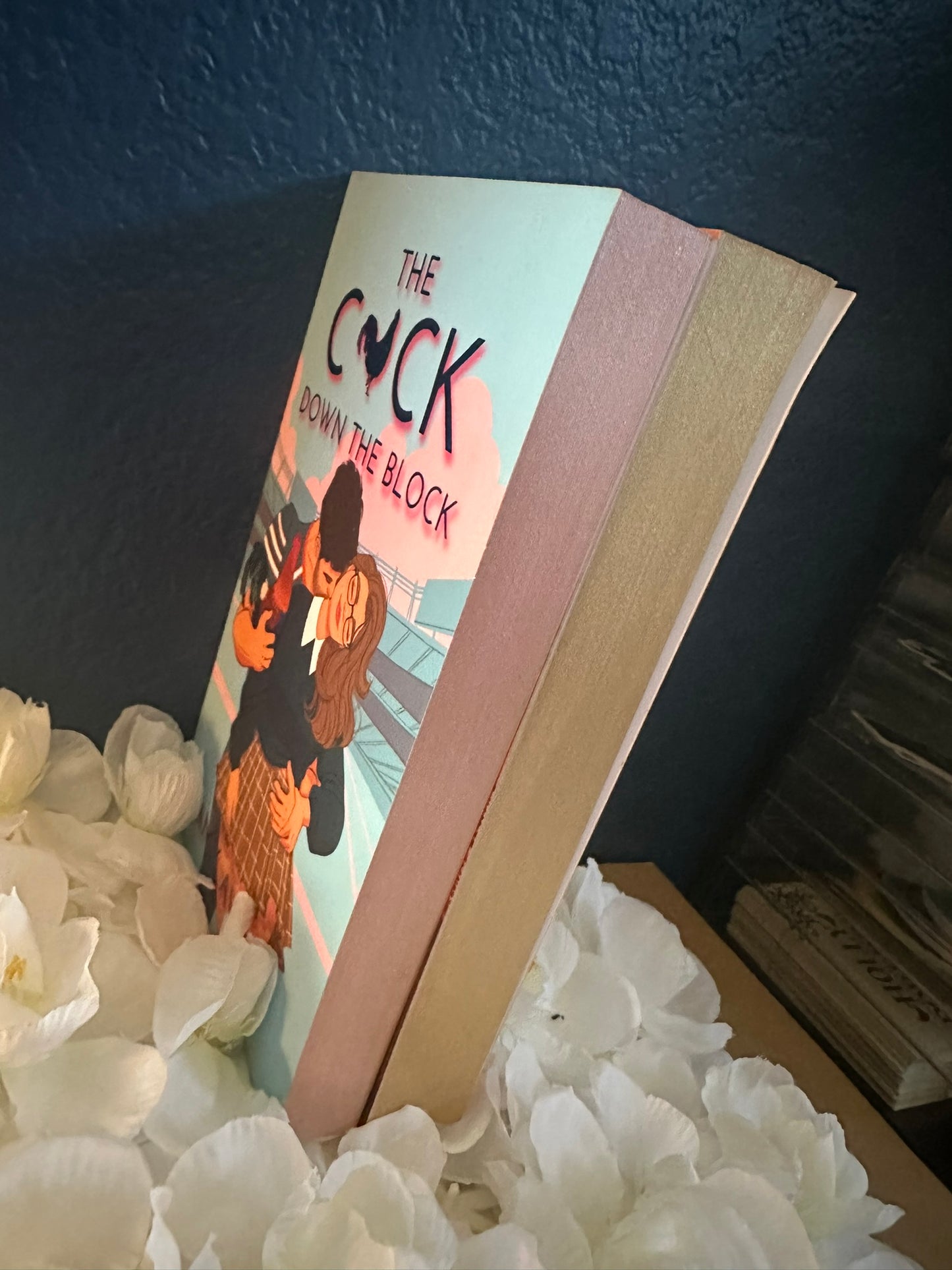 The C*ck Down the Block - Signed Edition (Foiled Cover, and Interior Art on Vellum)